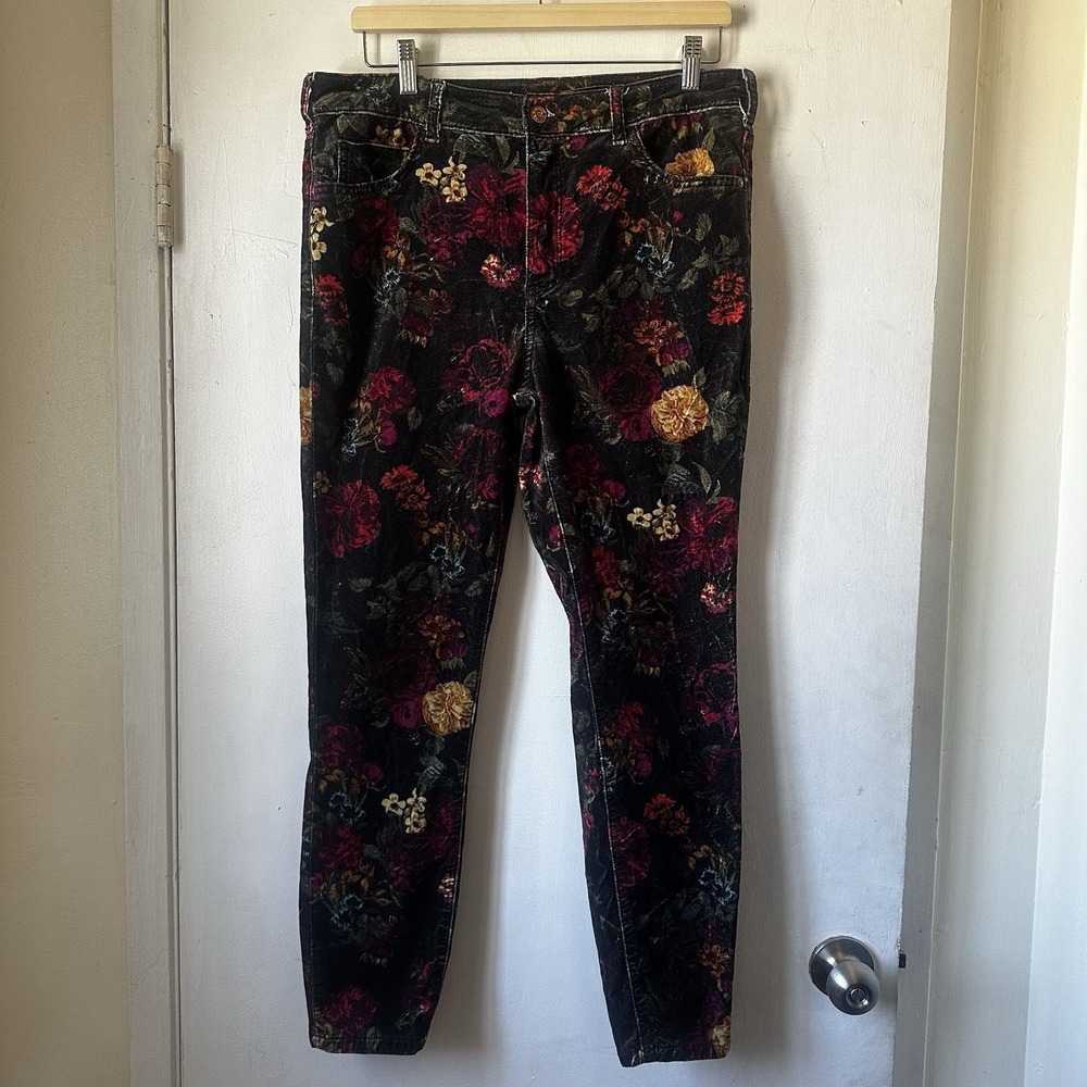 Anthropologie Pilcro Floral Velvet Skinny Jean Pants Women Sz 26 Boho